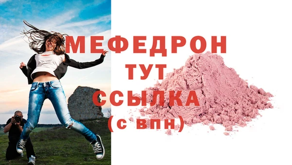 шишки Гусиноозёрск